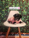 Candy Corn BH