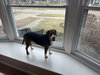 Darby