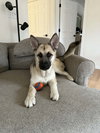 Kaia BK