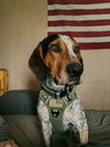 Mack