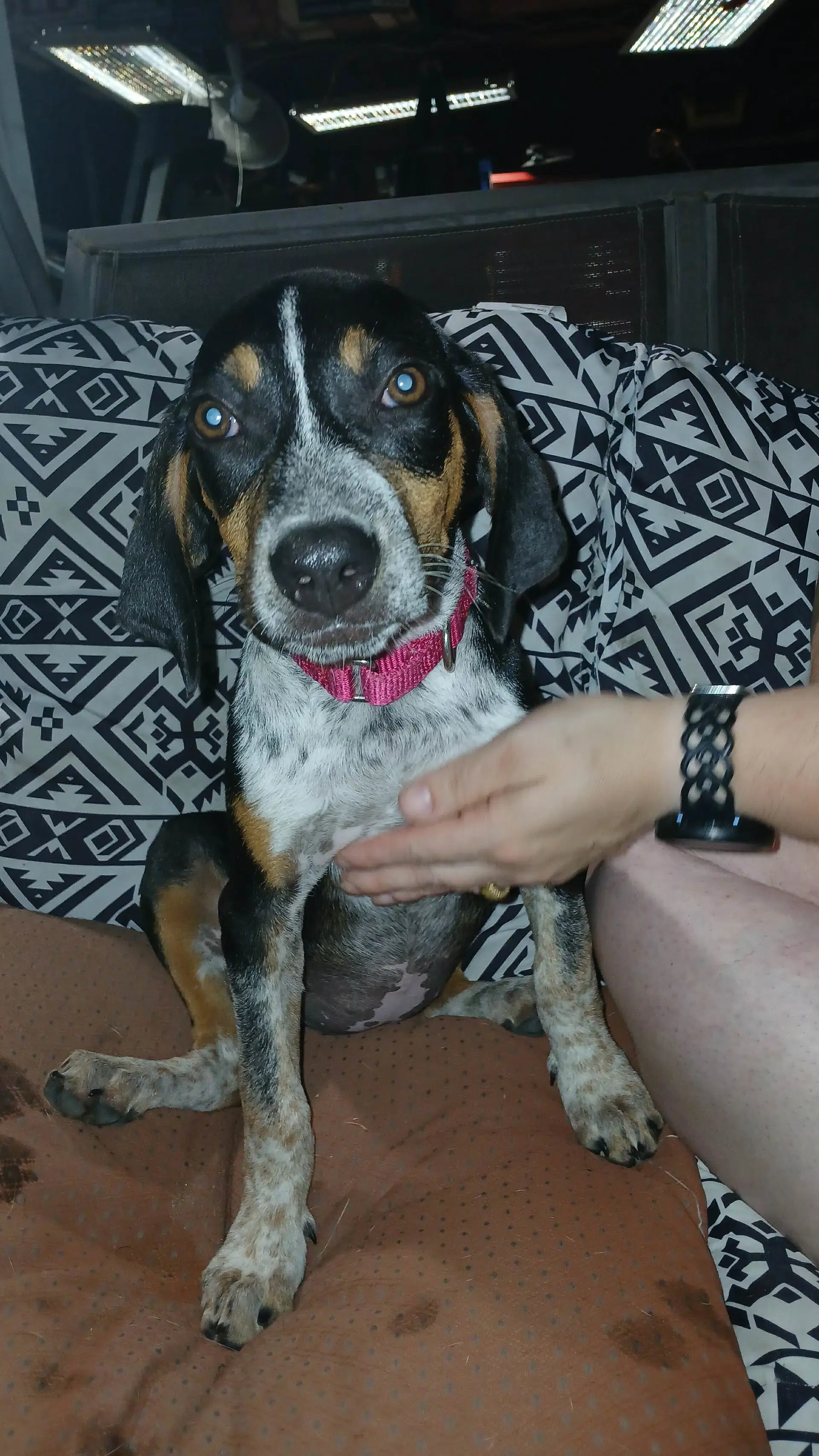 Mable - Bo image 4