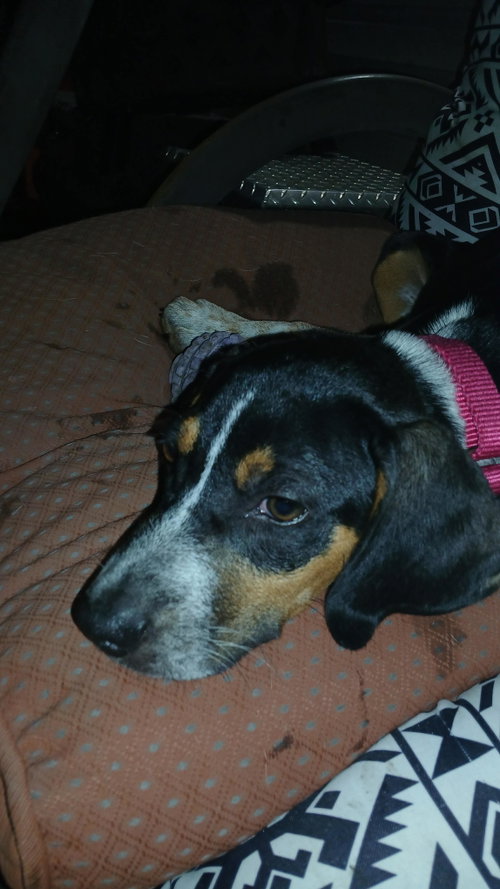 Photo 5 of Mable - BO