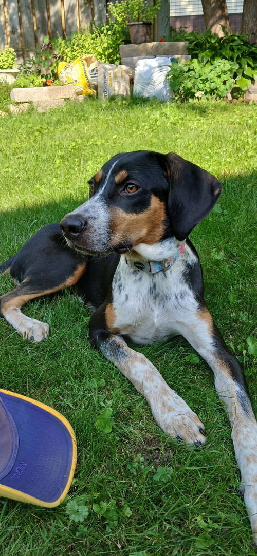 Photo 3 of Mable - BO