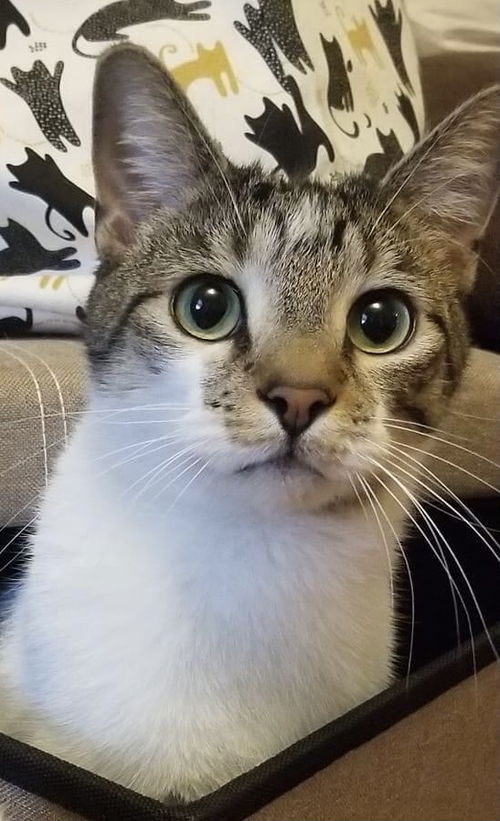 Lennon