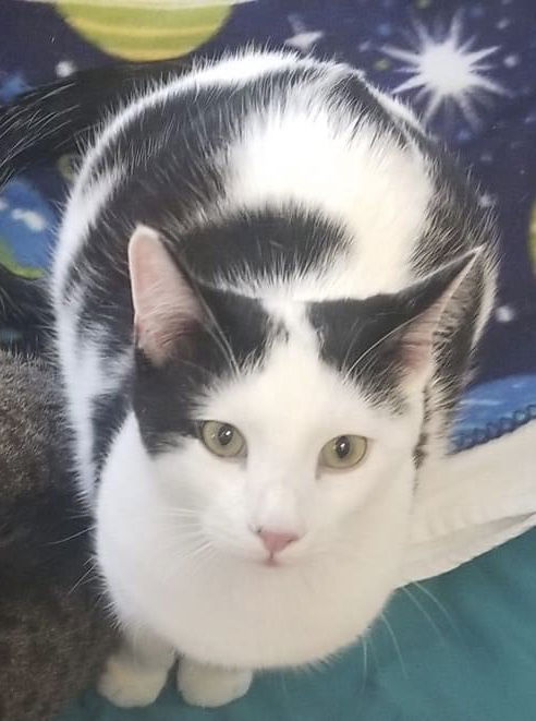 Petey