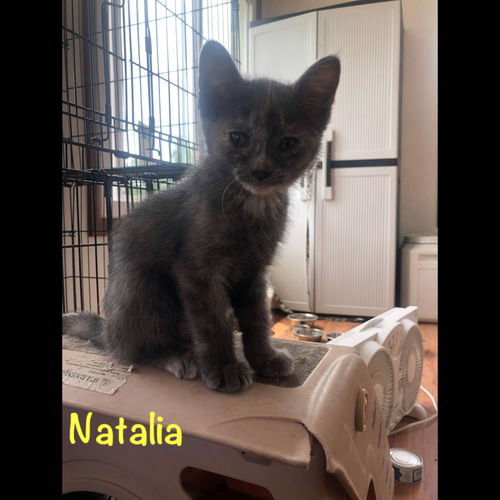 Natalia