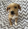 Cheerio - Photo 3