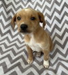 Cheerio - Photo 4