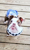 Dewbie (special needs)