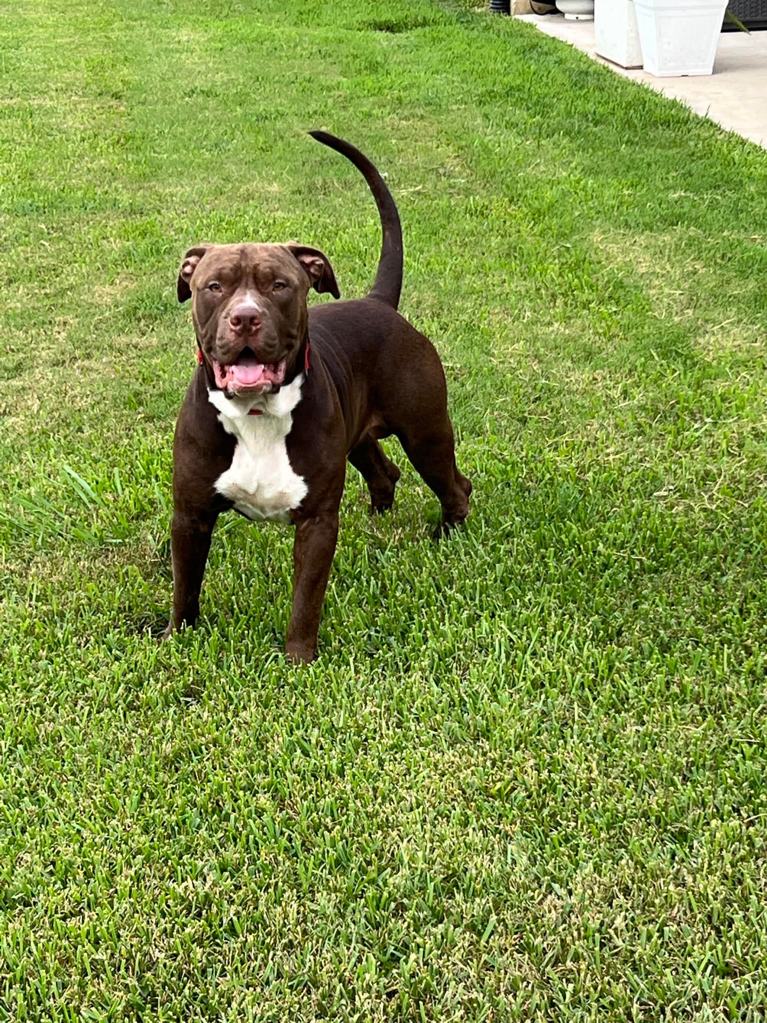 Hugo, photo 9