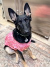 Otti formerly Baby - Photo 3