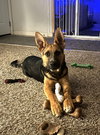 Sawyer
