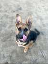 Sawyer