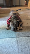 Molly