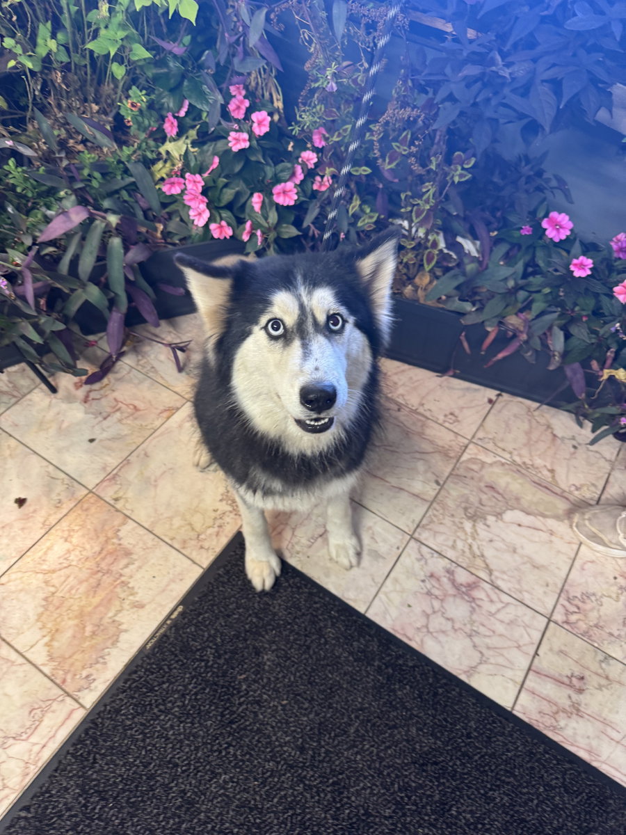 Seyla