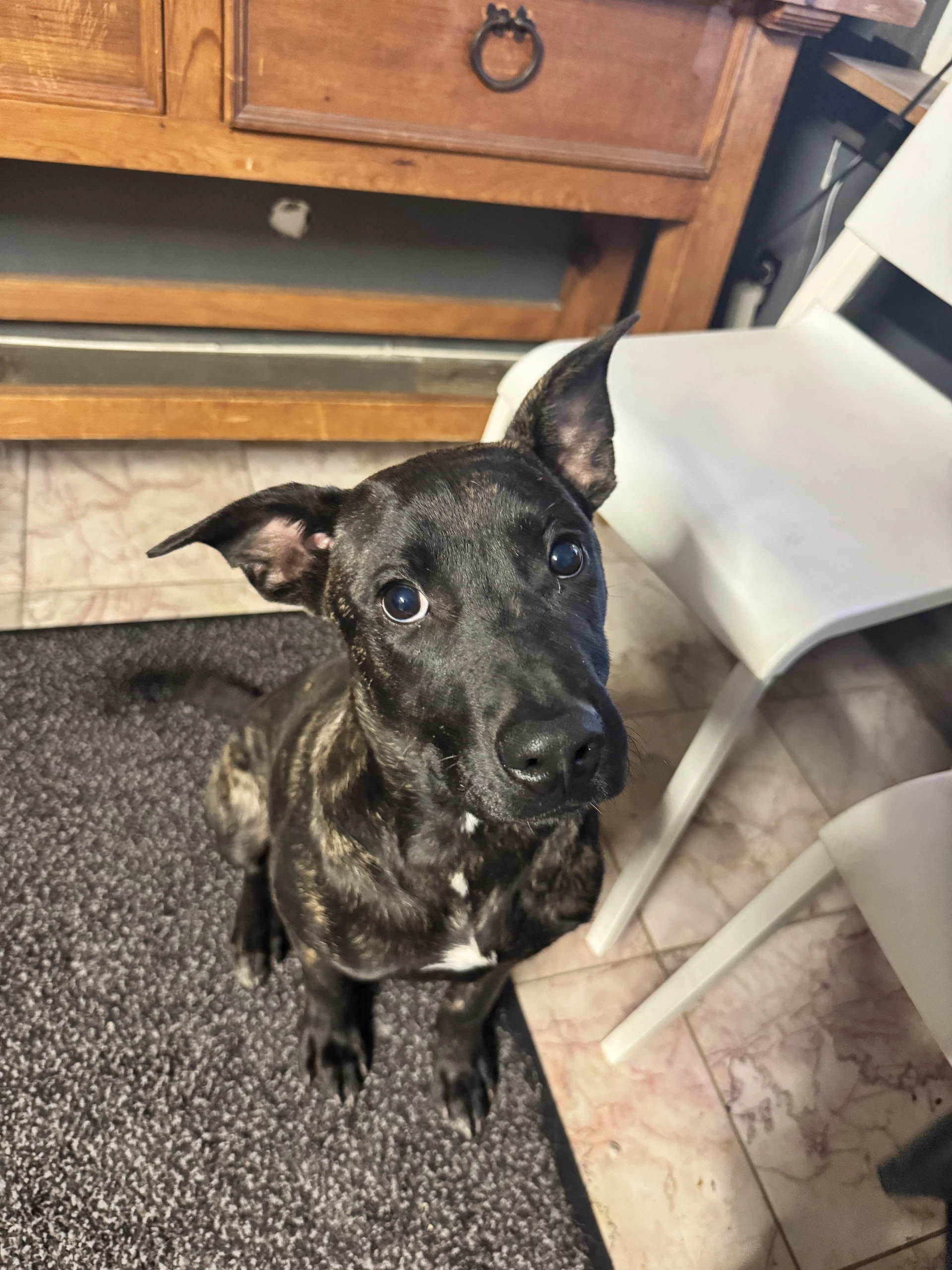 Charlie