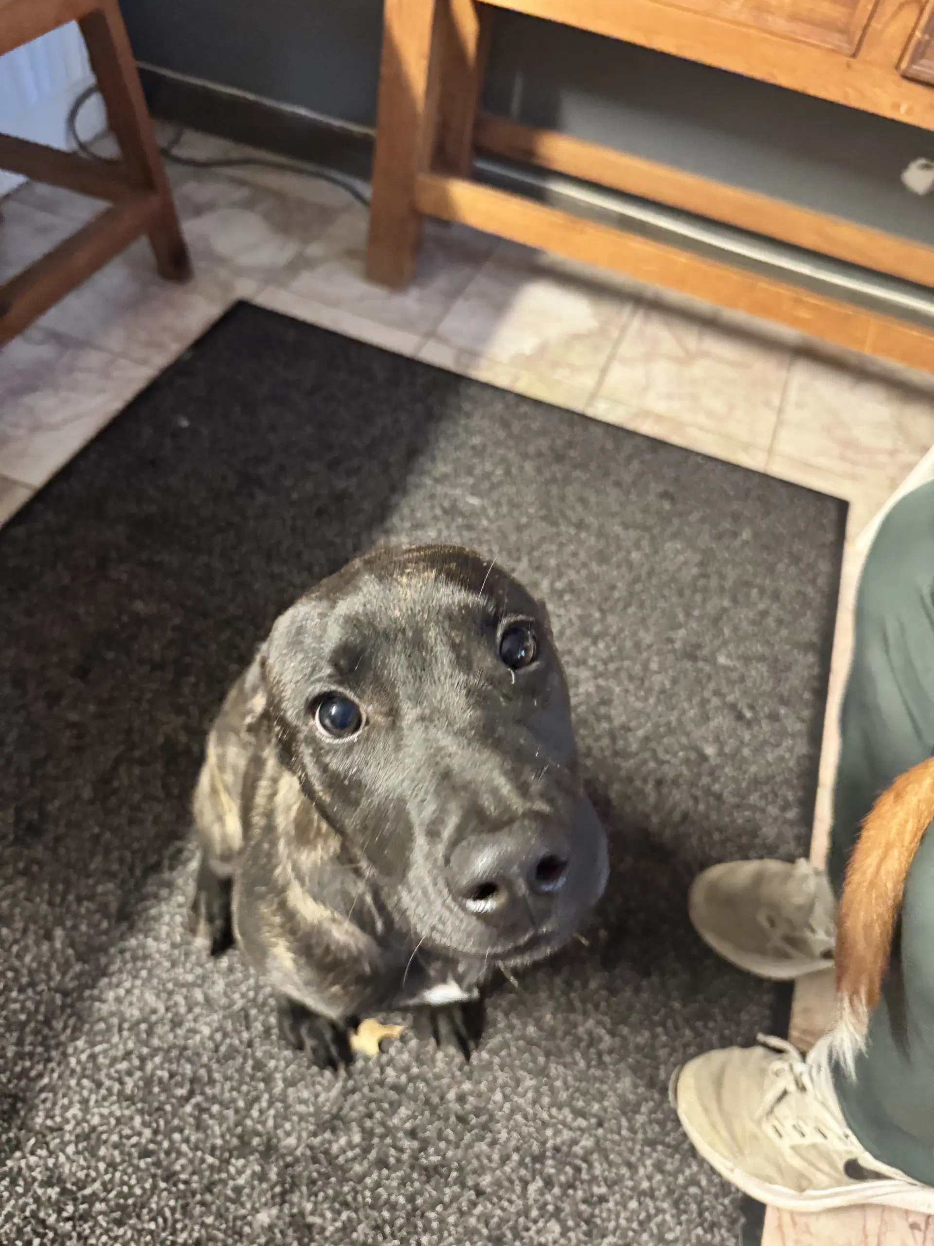 Charlie image 2