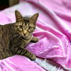 Maxi - Photo 3