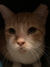 Bones - Photo 3