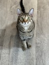 Simba Lloyd - Photo 2