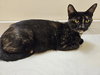 Sweetie - Photo 4