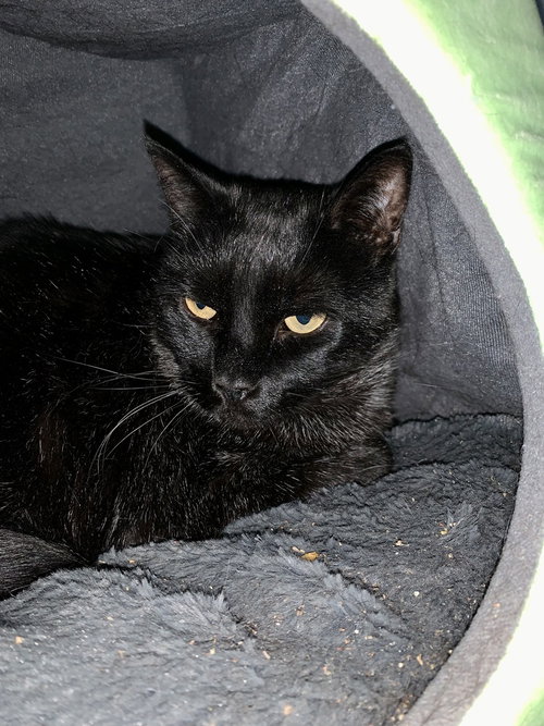 Photo 4 of Jack
