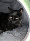 Jack - Photo 3