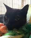 Jack - Photo 4