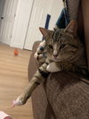 Miki - Photo 2