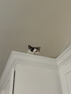 Maggie - Photo 4