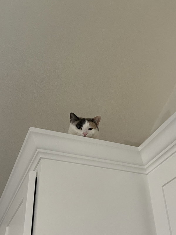 Maggie