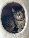 Lily G - Photo 3