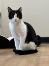 Tiny Bit - Photo 3