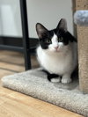 Tiny Bit - Photo 4
