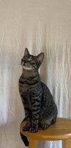 Max - Photo 2