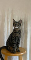 Max - Photo 3