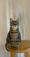 Kit - Photo 2