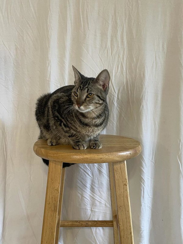 Kit