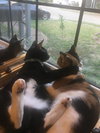 Tippy Solis - Photo 2