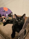 Frijole - Photo 3