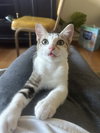 Charles - Photo 2