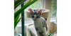 Charles - Photo 4