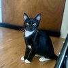 Eleanor - Photo 2