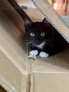 Eleanor - Photo 4