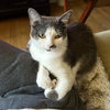 Cecilia - Photo 3