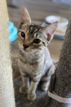 Beryl - Photo 4