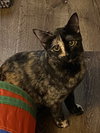 Ruby M - Photo 3