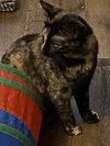 Ruby M - Photo 4