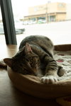 Sabrina - Photo 2