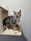 Sabrina - Photo 3